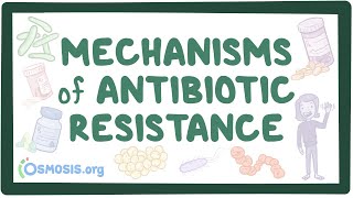 Mechanisms of antibiotic resistance [upl. by Sivat]