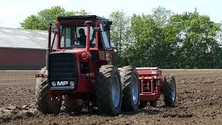 Massey Ferguson 1200 1505 4840 amp 4900 Working In The Field  Ferguson Days 2016 amp 2017 [upl. by Kaslik]