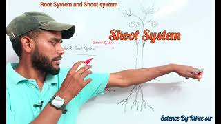 जड़ और प्ररोह प्रणालीRoot system and shoot SystemBy Rikee Sir education [upl. by Tyler]