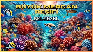 Avustralya Büyük Set Resifi Dünyanın En Büyük Mercan Resifi ve Ekosistemi  Belgesel [upl. by Ulane]