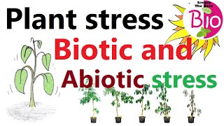 Biotic and Abiotic Stresses in Plants by Simply The Best BIO [upl. by Selby]