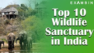 Top 10 Wildlife Sanctuaries in India UPSC  Wildlife Sanctuary and National Parks Series  3 [upl. by Ayikan949]