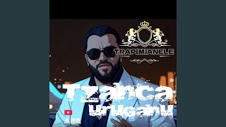 Amo Amo l A l TrapManele Romanian Club Muzica pe distracție [upl. by Milty]