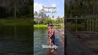 Thiruparapu Waterfalls travel kanyakumari nature shorts shortsvideo thiruparappu ilayaraja [upl. by Enrobso919]