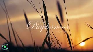 Diaphanous  Original Soundtrack [upl. by Annyl286]