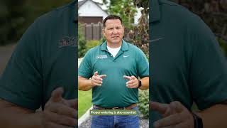 Effective Strategies for Weed Control In Your Lawn [upl. by Edmead]