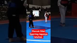 Pencak Silat Sparring Jagonya Jatuhan dennywewey9649 [upl. by Arlo664]