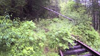 Railroad Ruins On The Salmonberry River [upl. by Asilanna]