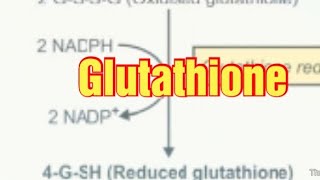 Glutathione Biochemistry Synthesis and Functions of Glutathione glutathione [upl. by Sib864]