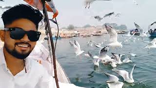 Triveni Sangam prayagraj  mahakumbh Allahabad [upl. by Anhpad414]