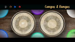 Congas amp Bongos Performance  Twenty Eight January [upl. by Legna]