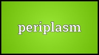 Periplasm Meaning [upl. by Balliol]