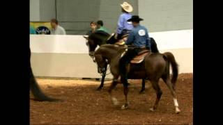 JC Klaym To Fame Region 12 Western Pleasure Open 2014 [upl. by Raffo]