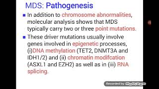 Myelodysplastic Syndrome  MDS [upl. by Allak766]