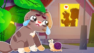 Where Is My Home 🐾  Kittens Search for the Home 🏡  Heartwarming Funny Songs amp Story  Comy Zomy [upl. by Ardisj39]