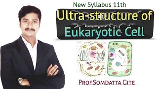 UltraStructure of Eukaryotic cell L 5 [upl. by Irving]