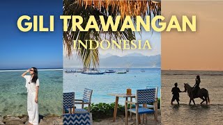 TRAVEL DIARY GILI TRAWANGAN INDONESIA [upl. by Dray]