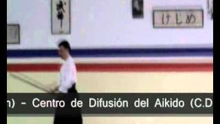 AIKIDO  JO KATA  31 MOVIMIENTOS [upl. by Woody]