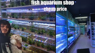 Aquarium fish are available at very low price🐟🐟 Cheapest price fish [upl. by Morrissey903]