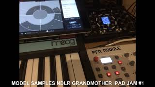 MODEL SAMPLES NDLR GRANDMOTHER IPAD JAM 1 [upl. by Petr]