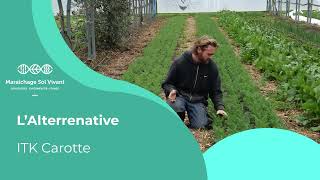 Fiche ITK  Carottes primeurs sur compost  Alterrenative [upl. by Kanya]