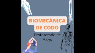 Codo biomecanica [upl. by Nevets]