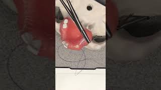 Strapping sutures securing membrane after ridge augmentation [upl. by Aikal]