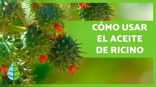 10 USOS del ACEITE de RICINO 💚 ¡Cabello Pestañas Antiacné y más [upl. by Terces]