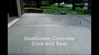 How to Cure and Seal Your Driveway For Ultimate Protection from wwwSealGreencom 8009973873 [upl. by Ijar]