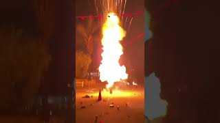 25000 💥 Firework ✨ Sky Shot Diwali Special 💥 [upl. by Merta]