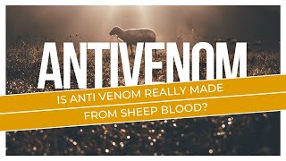 Is Anti Venom Really Made From Sheep Blood [upl. by Grew]