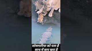 Kyesi halt hai meri aa tujhe Mai btao  trending viralvideo youtubeshorts animals [upl. by Gauldin384]