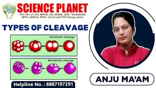 TYPES OF CLEAVAGE II BY ANJU MAM II SCIENCE PLANET II Embryonic Development [upl. by Laehctim]