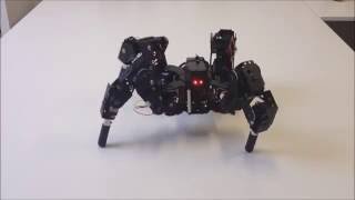 Quadruped robot 4DOF [upl. by Tanhya]