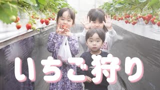 【親友】きりすけふぁみりーとはじめてのいちご狩り、昆虫館、公園…🍓🦋🛝【きりいと】 [upl. by Nayd]