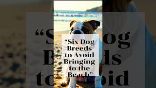 Dog Breeds to Avoid Bringing to the Beach [upl. by Ayam]