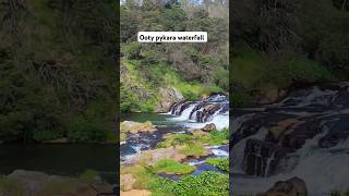 Queen of hill station Ooty shorts nature waterfall pykara adventure ooty beauty [upl. by Katey]