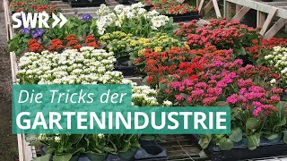 Die Tricks der Gartenindustrie  Die Tricks SWR amp NDR [upl. by Nho946]