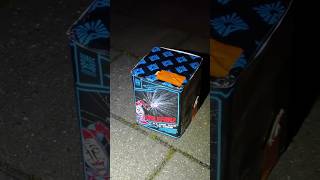 Argento Firlefanz feuerwerk silvester fireworks [upl. by Kimberlyn396]