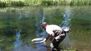 Trophy Trout  Fly Fishing near Bend Oregon on the Fall River [upl. by Strauss]