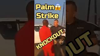 How to Palm Strike Self defence Palm Strike fight fighter selfdefence powerpunch boxing [upl. by Yerggoeg]