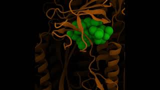 Phage DisplayBased Gene Delivery A Viable Platform for COVID19 Vaccine Design amp Development [upl. by Normandy291]