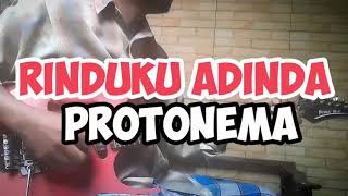 RINDUKU ADINDA PROTONEMA GUITAR COVER [upl. by Tyson]