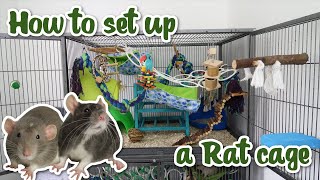 How to set up a Rat cage [upl. by Sukin]