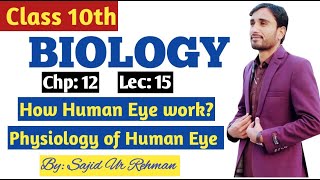 How Human Eye work  Physiology of Human Eye  Mechanism of Vision  10th Bio Chp 12 Lec 15 [upl. by Asela]