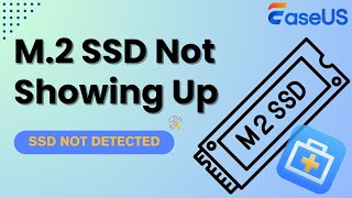 M2 SSD Not Showing Up or Detected in Windows 1110 Fixed Now [upl. by Cedar]