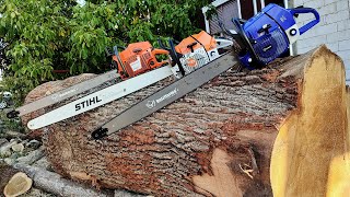 Big chainsaws in big wood  2023 edition Stihl MS881 Husqvarna 3120xp amp FarmerTec G888 [upl. by Assenaj626]