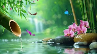 Tranquil Melodies Stress Relief 🌿 Heal Anxiety Depression Fall Asleep Gently Soothing Relaxation [upl. by Michail320]