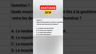 QCM  ANATOMIE [upl. by Pete]