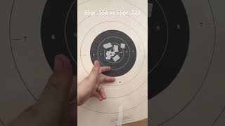 556 vs 223 bullet drop at 75 yards Both 55gr shot from same gun [upl. by Pero279]